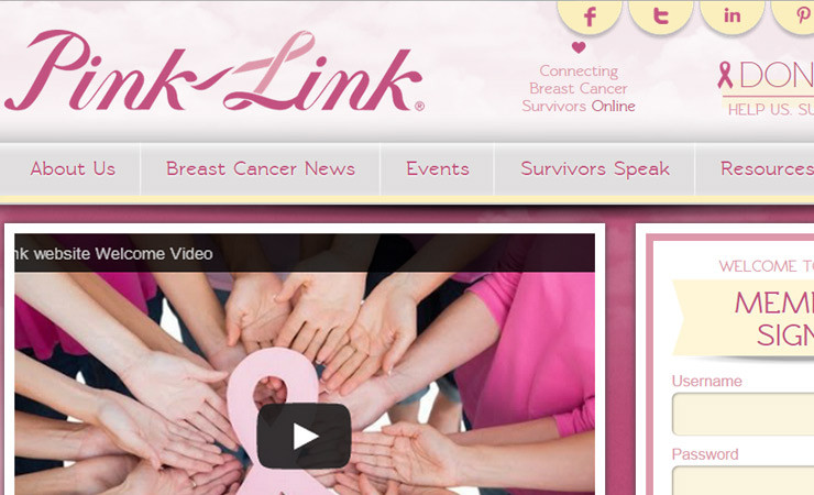 Pink Link’s Survivors Speak Contest